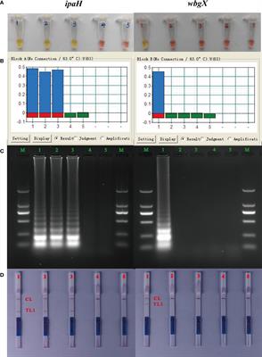 Development of multiplex cross displacement amplification combined with lateral flow biosensor assay for detection of virulent shigella sonnei